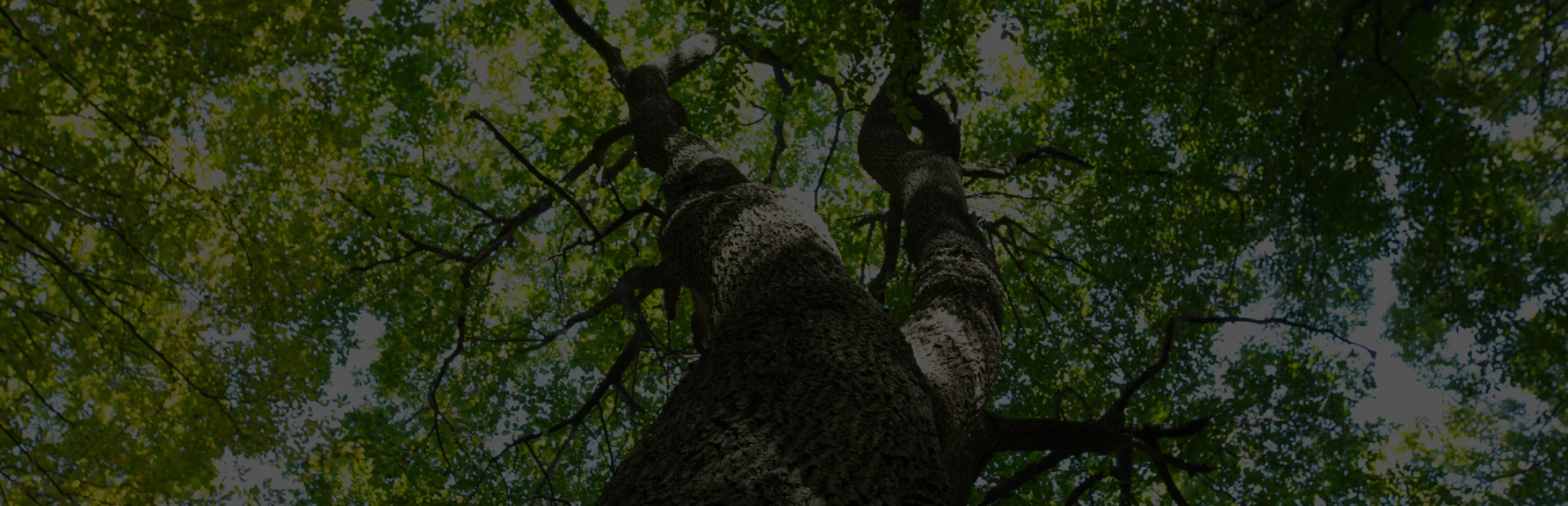 General breadcrumb hero