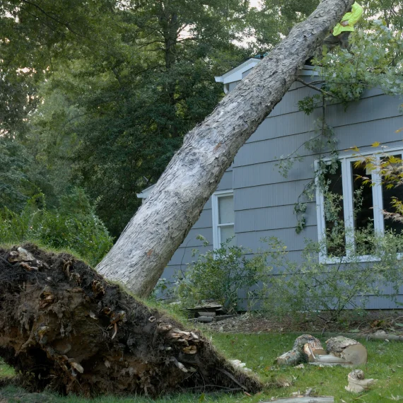 Home Storm Clean Up