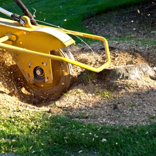 Home Stump Grinding