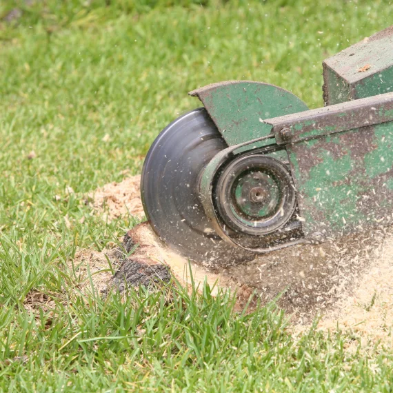 Stump Grinding