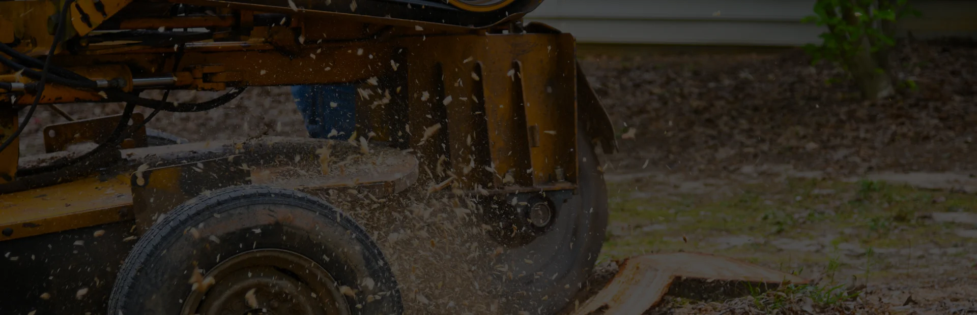 breadcrumb hero Stump Grinding