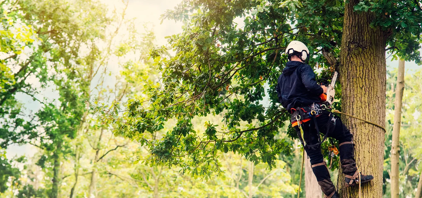 contact us breadcrumb hero